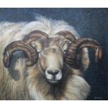 Keith Bowen (B. 1950) "Welsh Mountain Sheep"