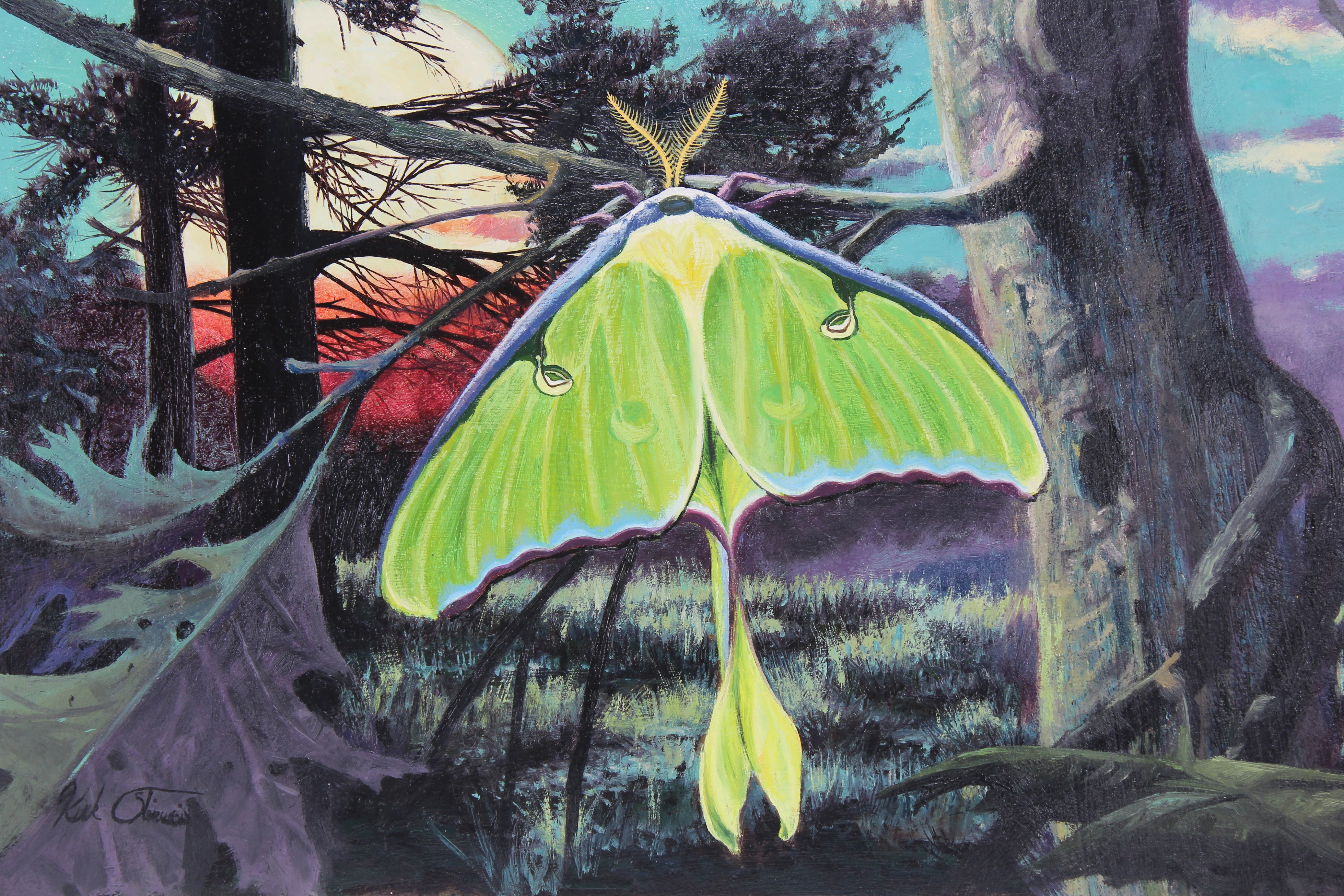 Kirk Stirnweis (B. 1967) "Luna Moth" - Image 2 of 4