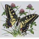 Paul Connor (20th C) "Swallowtail Butterfly"