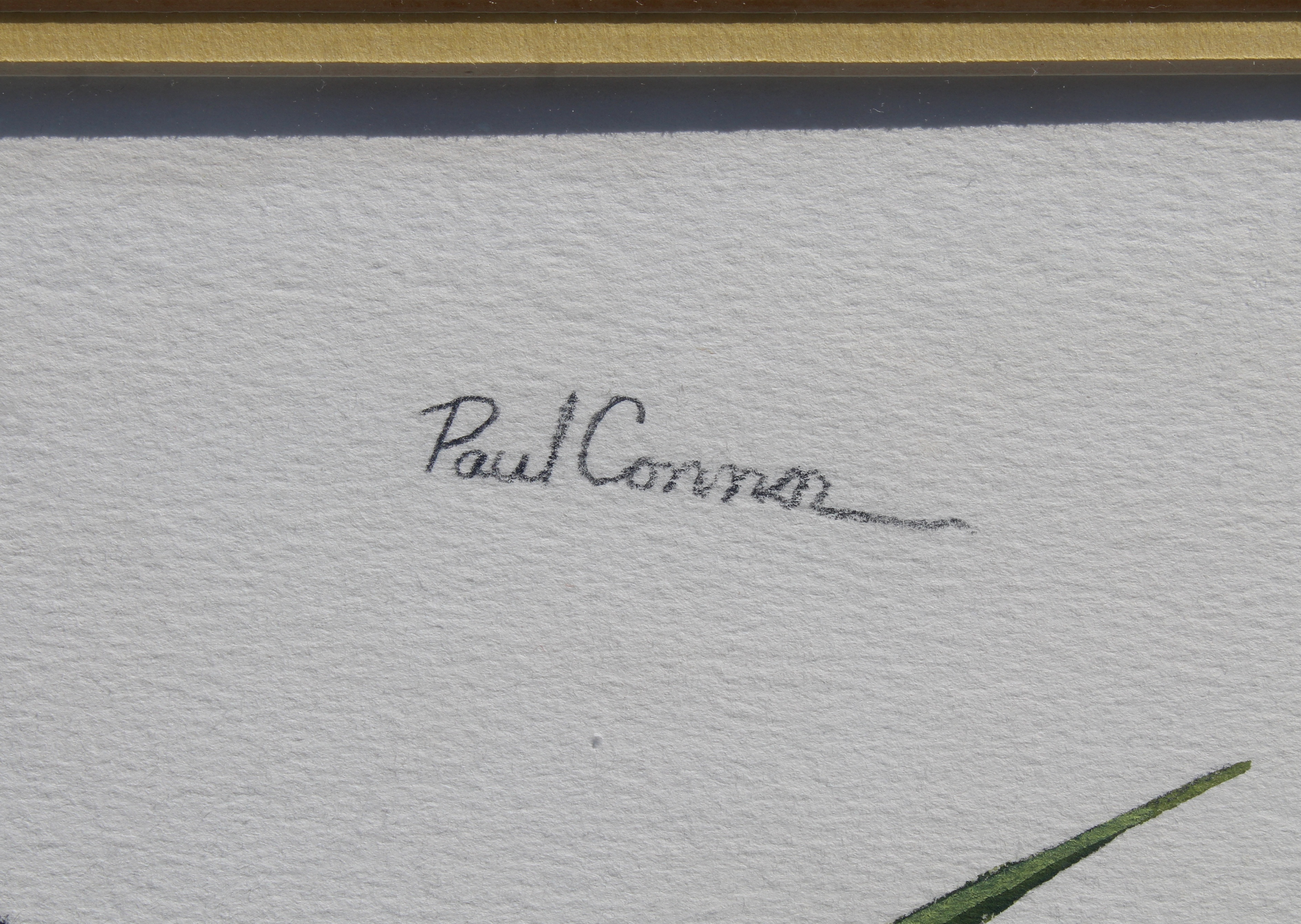 Paul Connor (20th C) "Butterflies" - Image 4 of 6