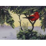 Kirk Stirnweis (B. 1967) "Scarlet Tanager"