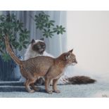 Don Balke (B. 1933) Himalayan and Abyssinian Cats