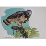 John Swatsley (B. 1937) "Harpy Eagle"