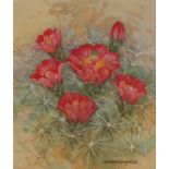 Gordon Beningfield (1936 - 1998) Claret Cup Cactus