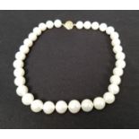 14K Gold 12mm South Sea Pearl Necklace