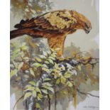 John Swatsley (B. 1937) "Tawny Eagle"