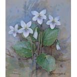 Gordon Beningfield (1936 - 1998) Sweet White Viole