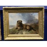 19th cent. English School: Oil on canvas, study of a hound. Signed W. Barrand 1849. 15ins. x 12ins.