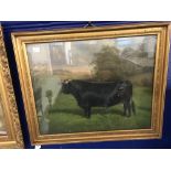 W. A. Clark: Oil on canvas in 20th cent. style. 'Carnation Sweep' male champion R.A.S.E. Show