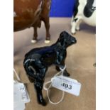 Beswick Cattle: Rare Aberdeen Angus calf with white nose.