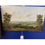 19th cent. English School: Oil on board Rustic Study. 13ins. x 7ins.