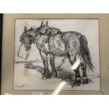 20th cent. Charcoal study of a horse signed bottom left 'Beron'. 10ins. x 9ins.