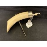 Corkscrews/Wine Collectables: Early 20th cent. White metal warthog/boar tusk handled corkscrew steel