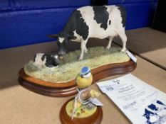 20th cent. Ceramics: Border Fine Arts. Holstein Friesian cow and calf on treen base No. 824 of 1750,