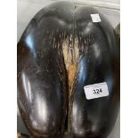 Natural Science: Intact large coco-de-mer, dark brown. 14ins long.