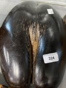 Natural Science: Intact large coco-de-mer, dark brown. 14ins long.