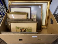 Prints: Selection of prints, various subjects and various sizes. Framed and glazed. Plus Alison Holt