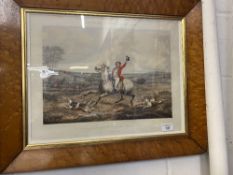 Country Pursuits: Rudolph Ackermann 19th cent. Prints from 'One of the Flowers of our Hunt' in birds