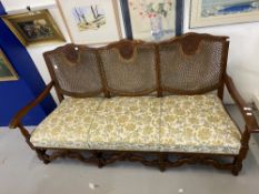 19th cent. European rosewood Bergere three seater settee with spring upholstered seats, scroll and