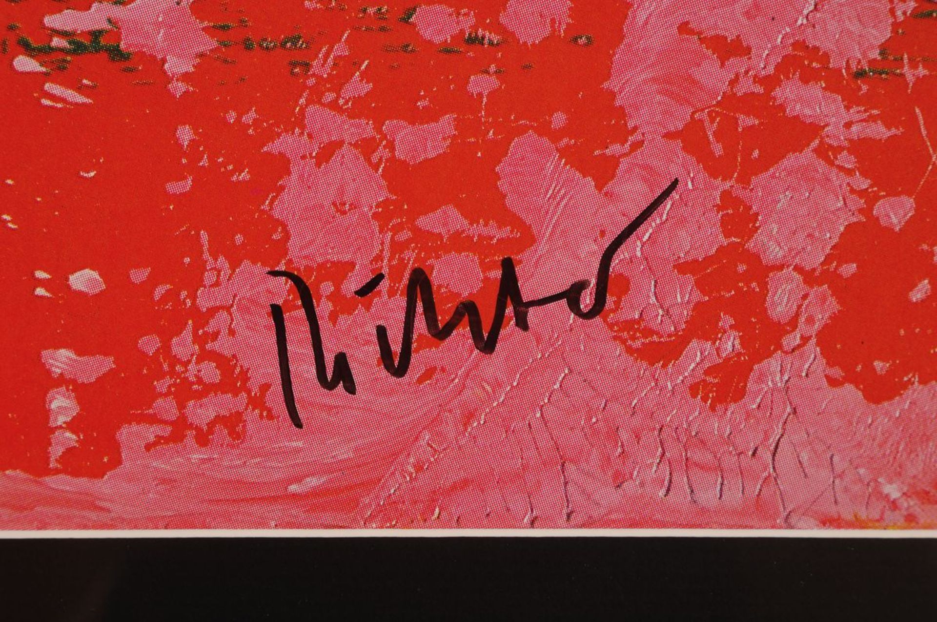 Gerhard Richter, born 1932, Farboffsetlitho, signed, nur wenige handsigned copies "Donaueschinger - Image 2 of 3