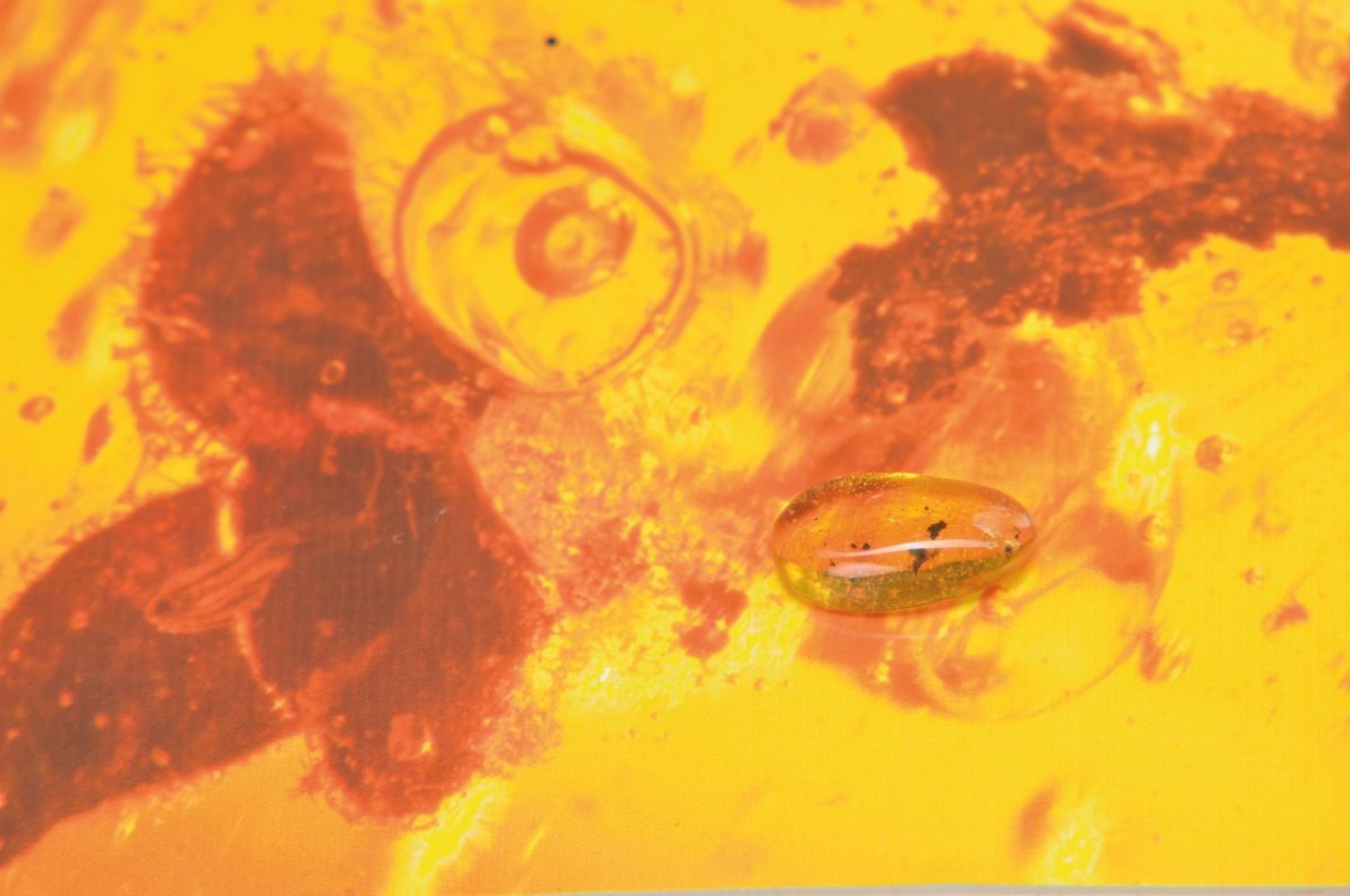 oldest amber of the dinosaurs-period of Burmese with rarer blossom, bark in air bubble, approx.