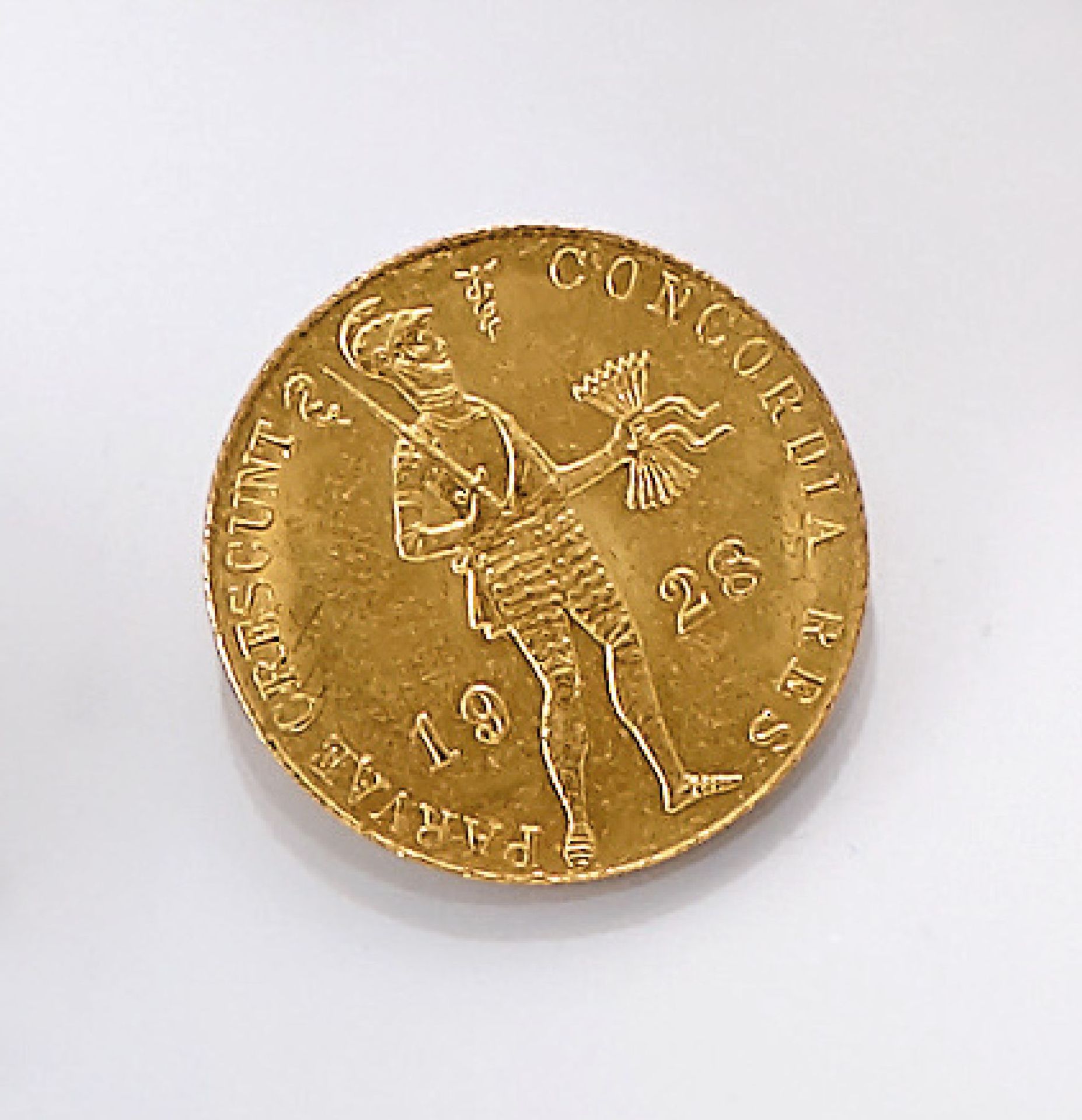 Gold coin, 1 guilder, Netherlands, 1928 , CONCORDIA RES PARVAE CRESCUNT, MO. AUR. REG. BELGII AD