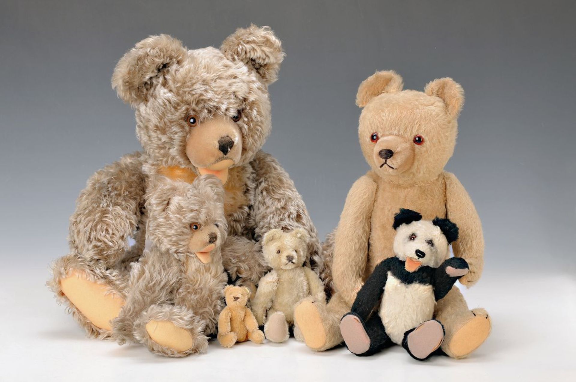 6 teddy bears, Steiff, since 1920/30 until 1960/1970s, earlier bear with humpback, glass eyes, one