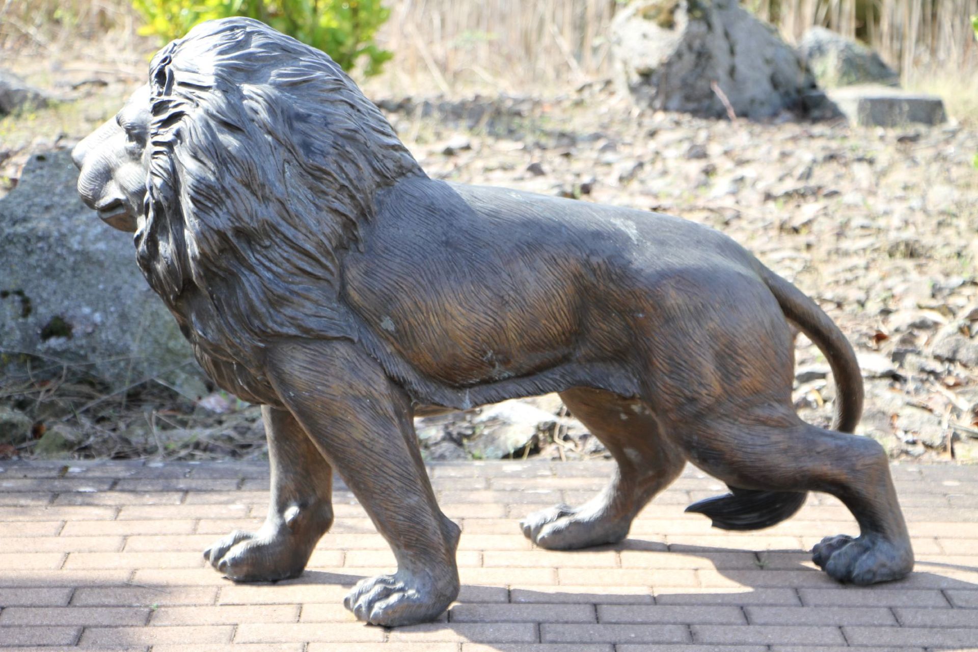 Lion, bronze, dark brown and golden brown patinated, in attentively tensed posture, detailed vivid - Bild 3 aus 3