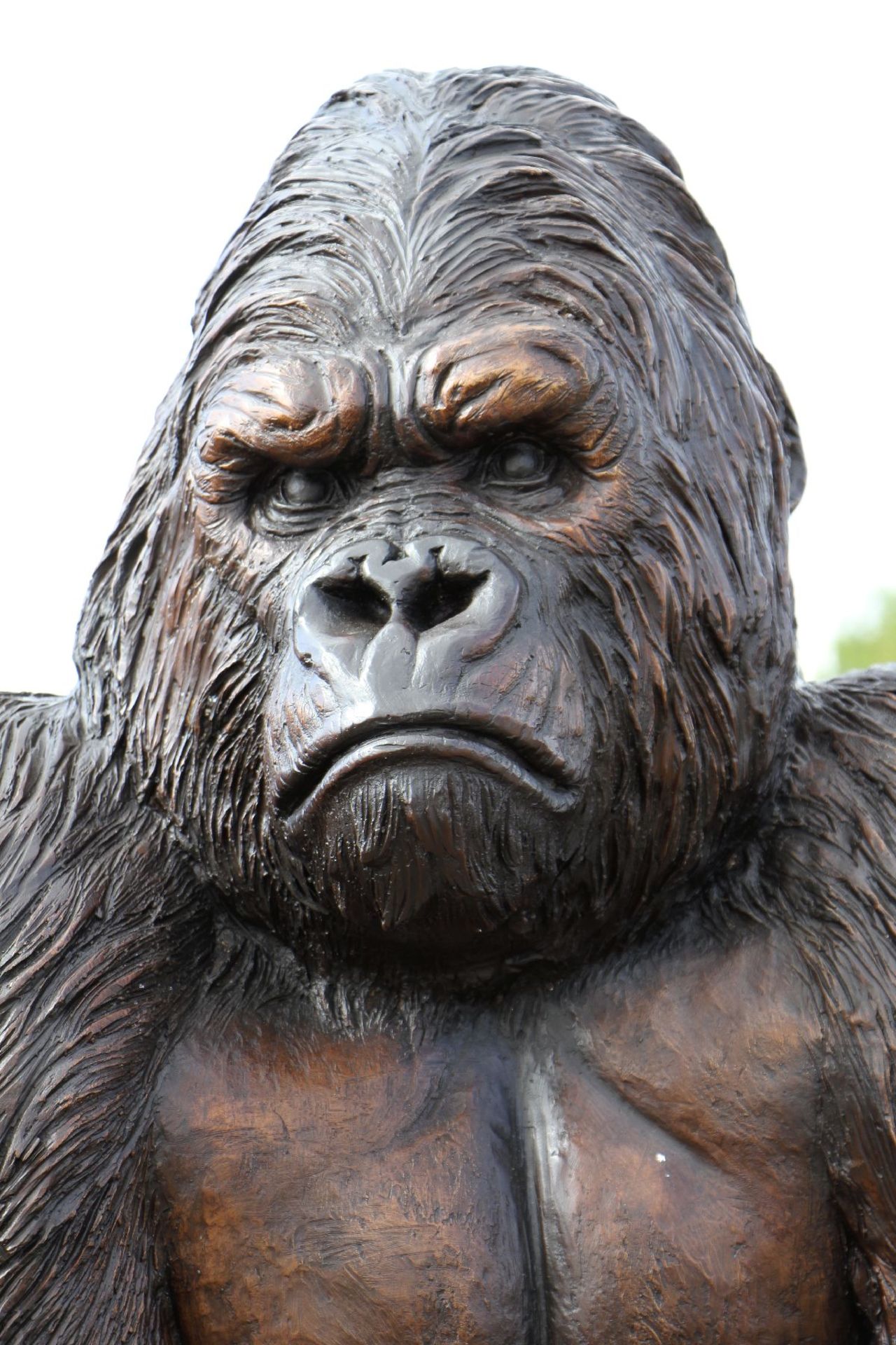 Gorilla, bronze, dark brown and golden brown patinated, excellent detailed elaboration, vivid - Bild 5 aus 5