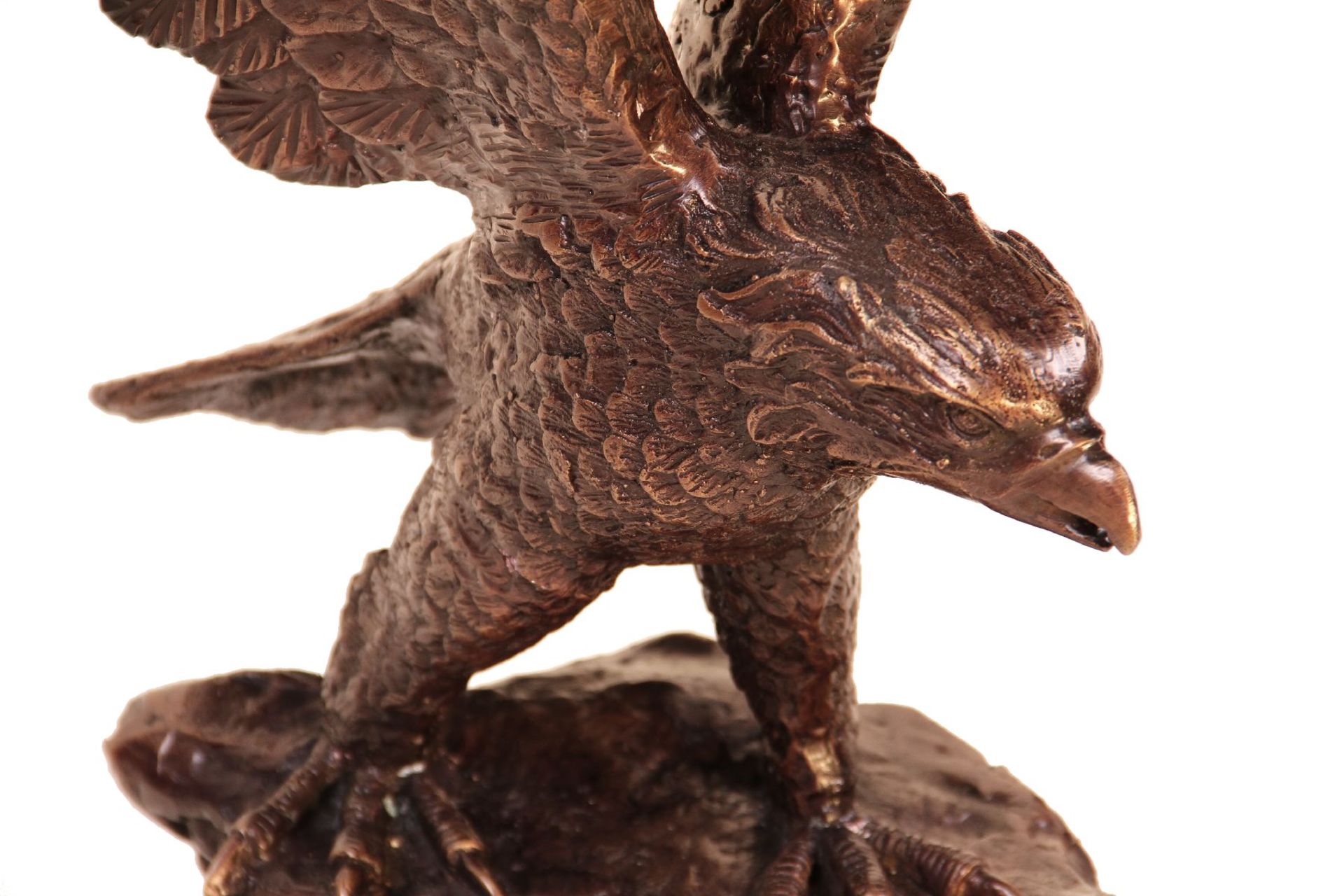 Eagle on rock, bronze, brown and golden brown patinated, moment of take off well reproduced,slight - Bild 2 aus 2