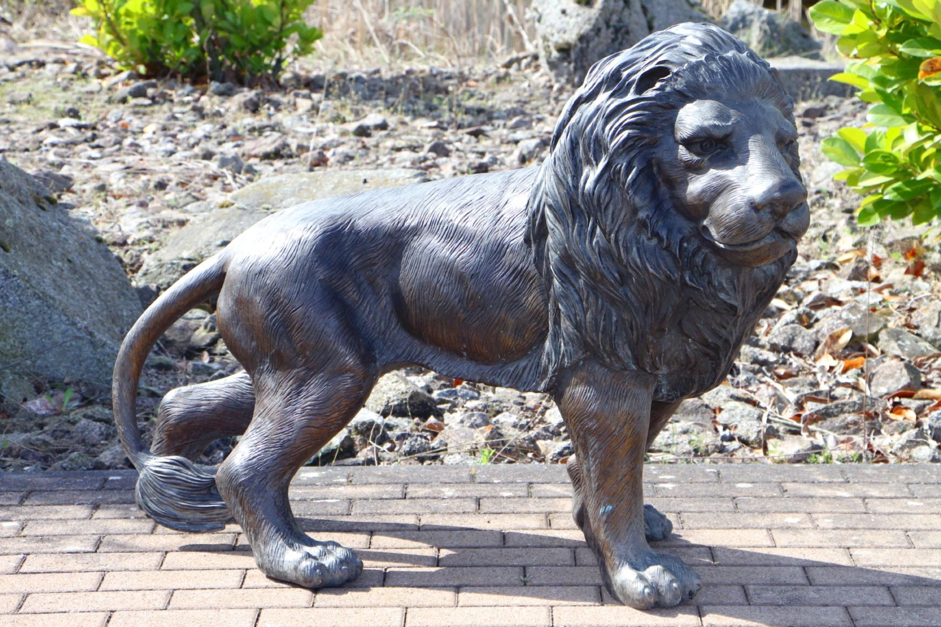 Lion, bronze, dark brown and golden brown patinated, in attentively tensed posture, detailed vivid