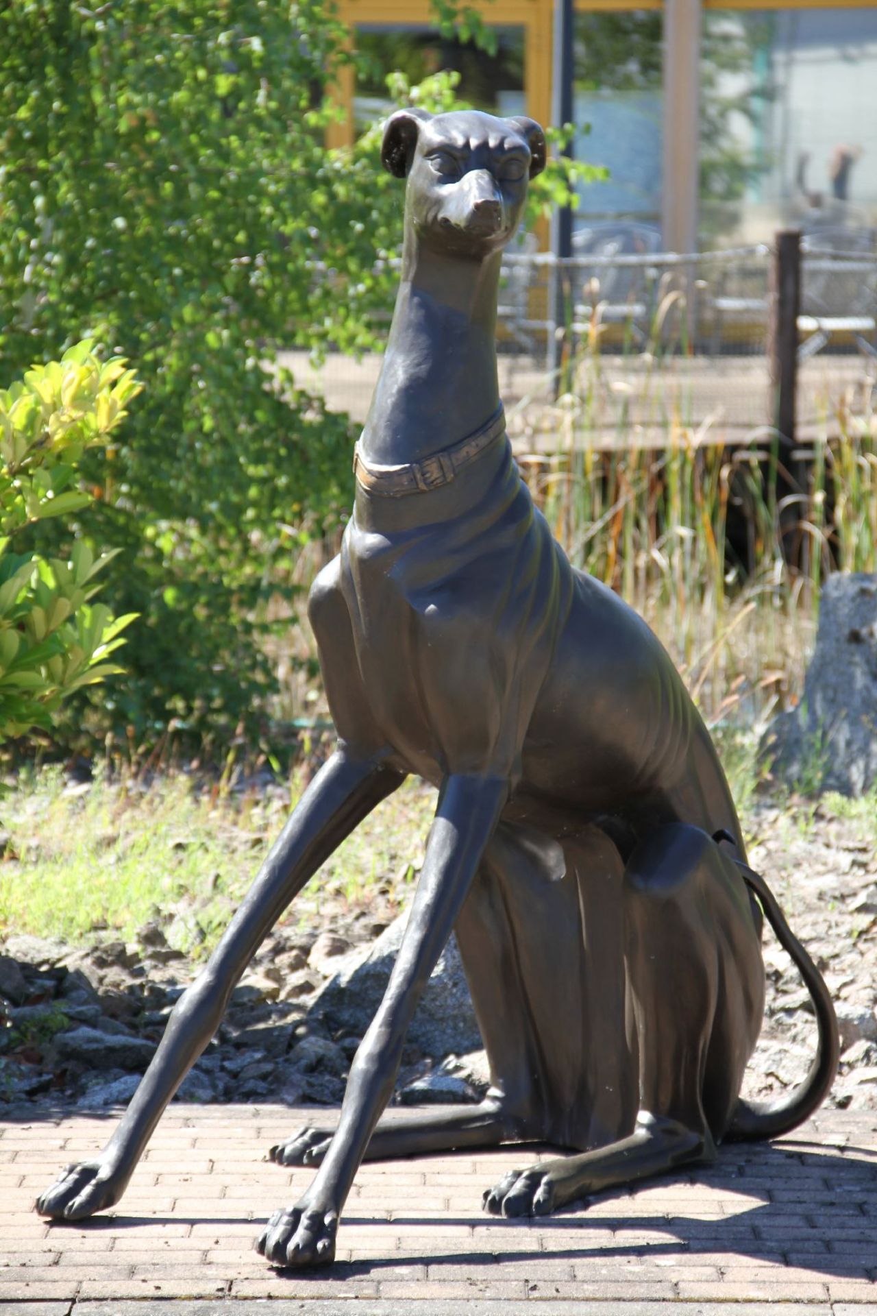 Greyhound, bronze, brown and dark brown patinated, in a typical, elegant pose, larger than life