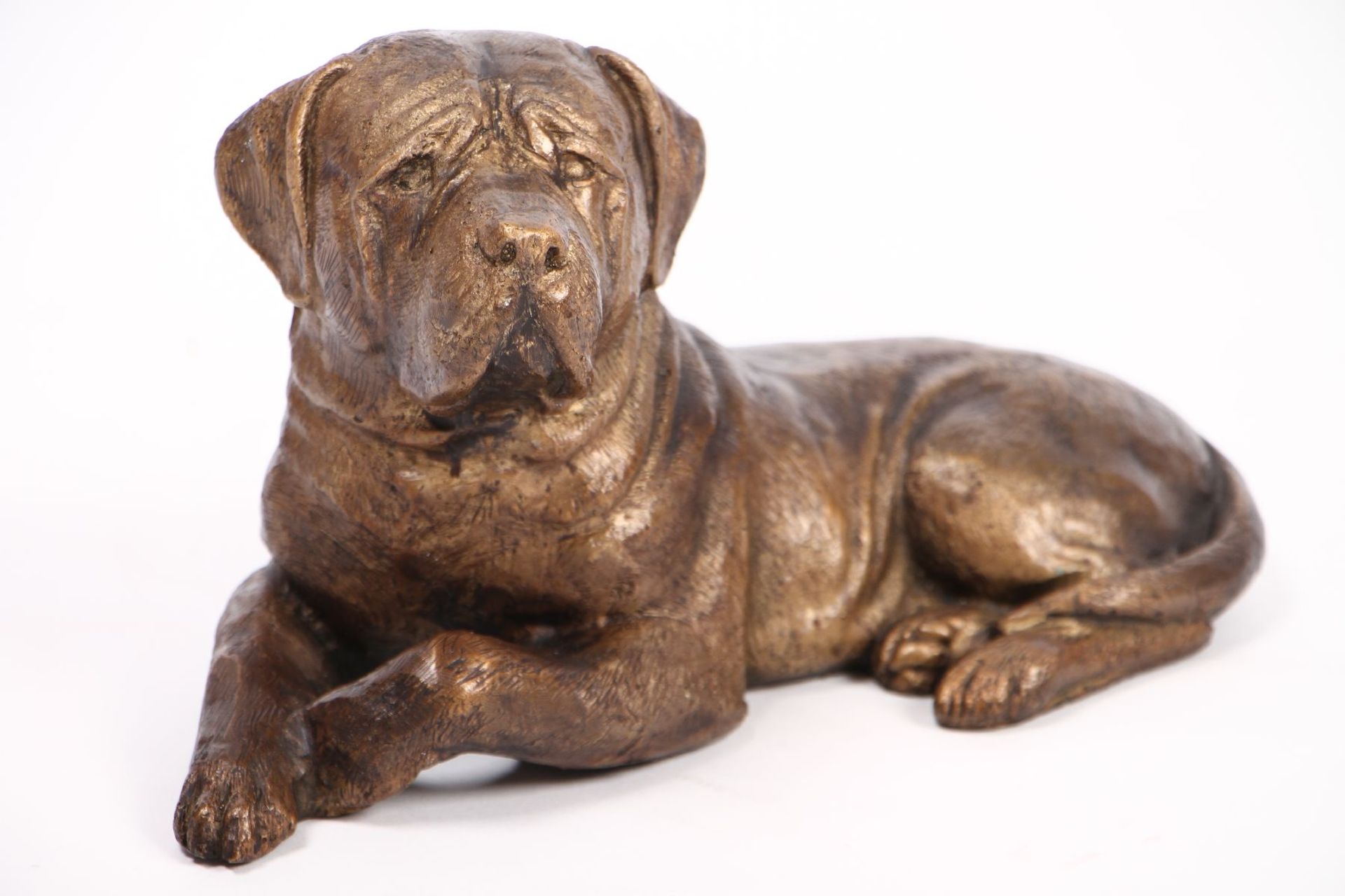 Rottweiler, bronze, patinated in golden brown,relaxed presentation, carefully observing, slight