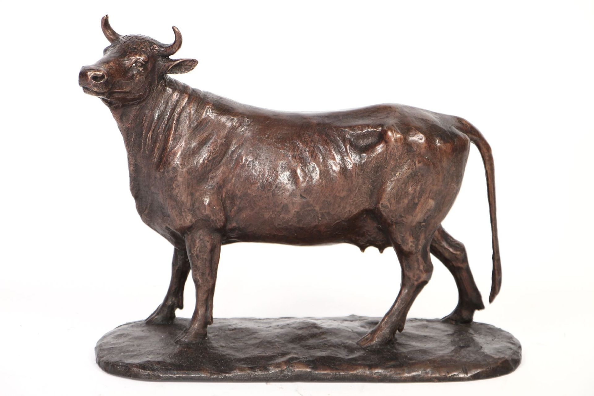 Cow, bronze, dark brown and golden brown patinated, naturalistic representation, detailed vivid