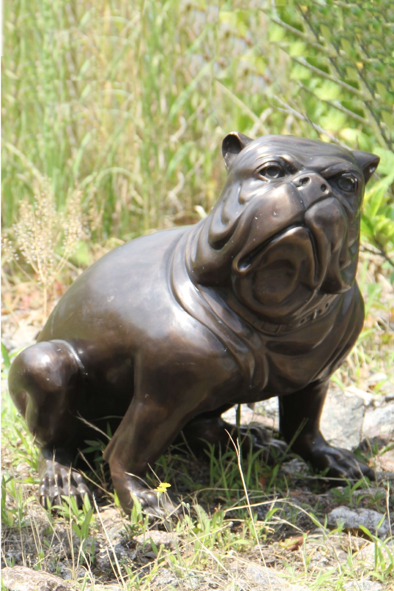 English Bulldog, bronze, patinated brown, idealistic-bizarre representation, oriented tothe right,