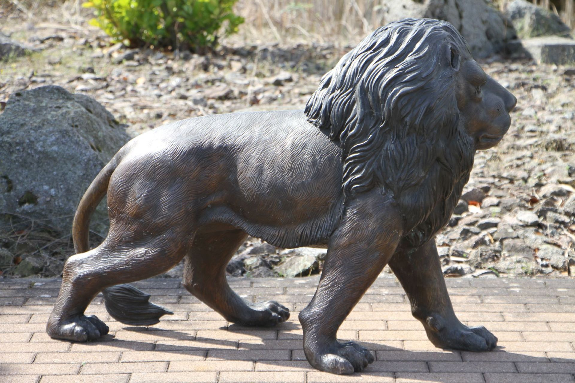 Lion, bronze, dark brown and golden brown patinated, in attentively tensed posture, detailed vivid - Bild 3 aus 3