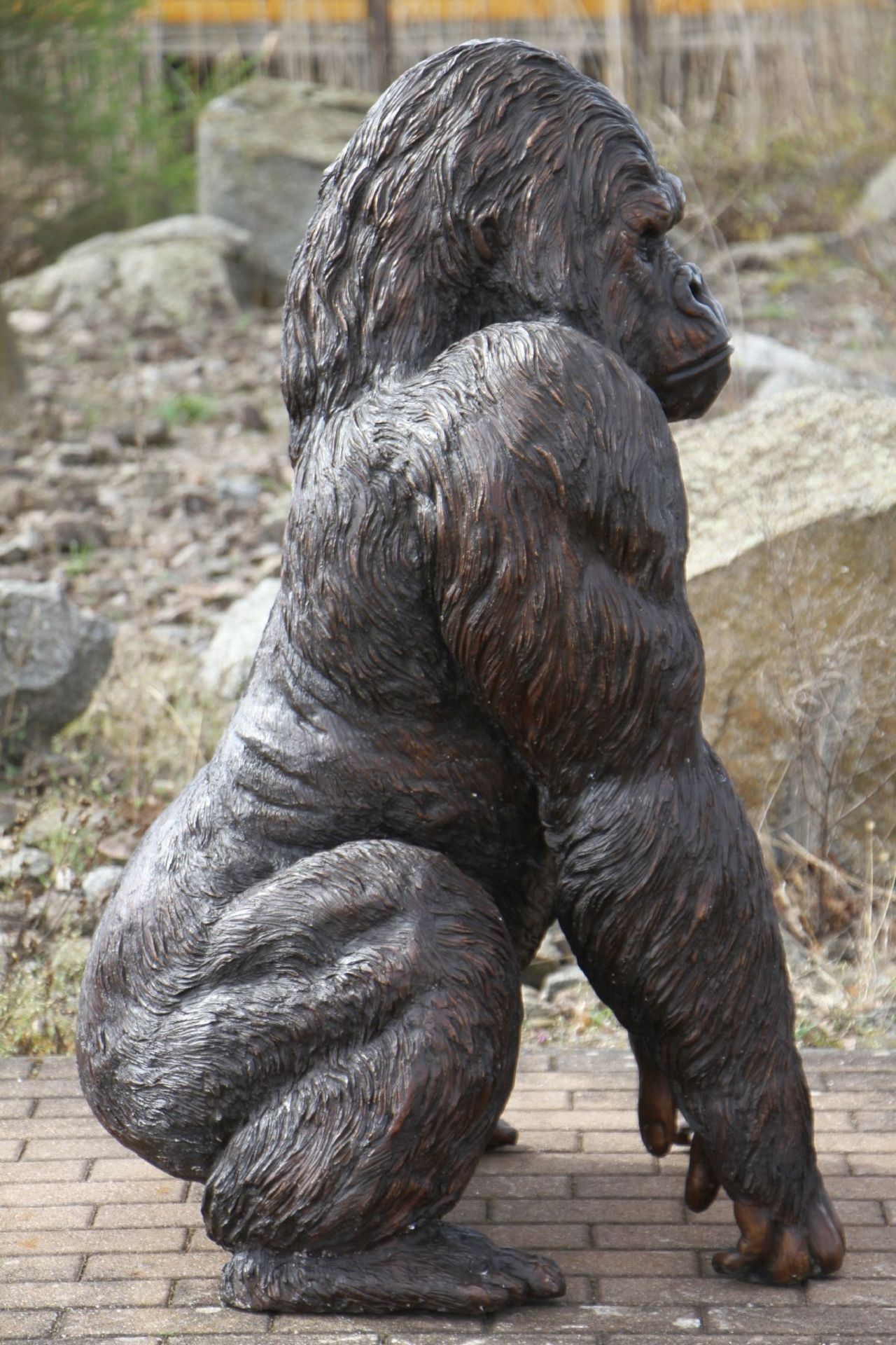 Gorilla, bronze, dark brown and golden brown patinated, excellent detailed elaboration, vivid - Bild 3 aus 5