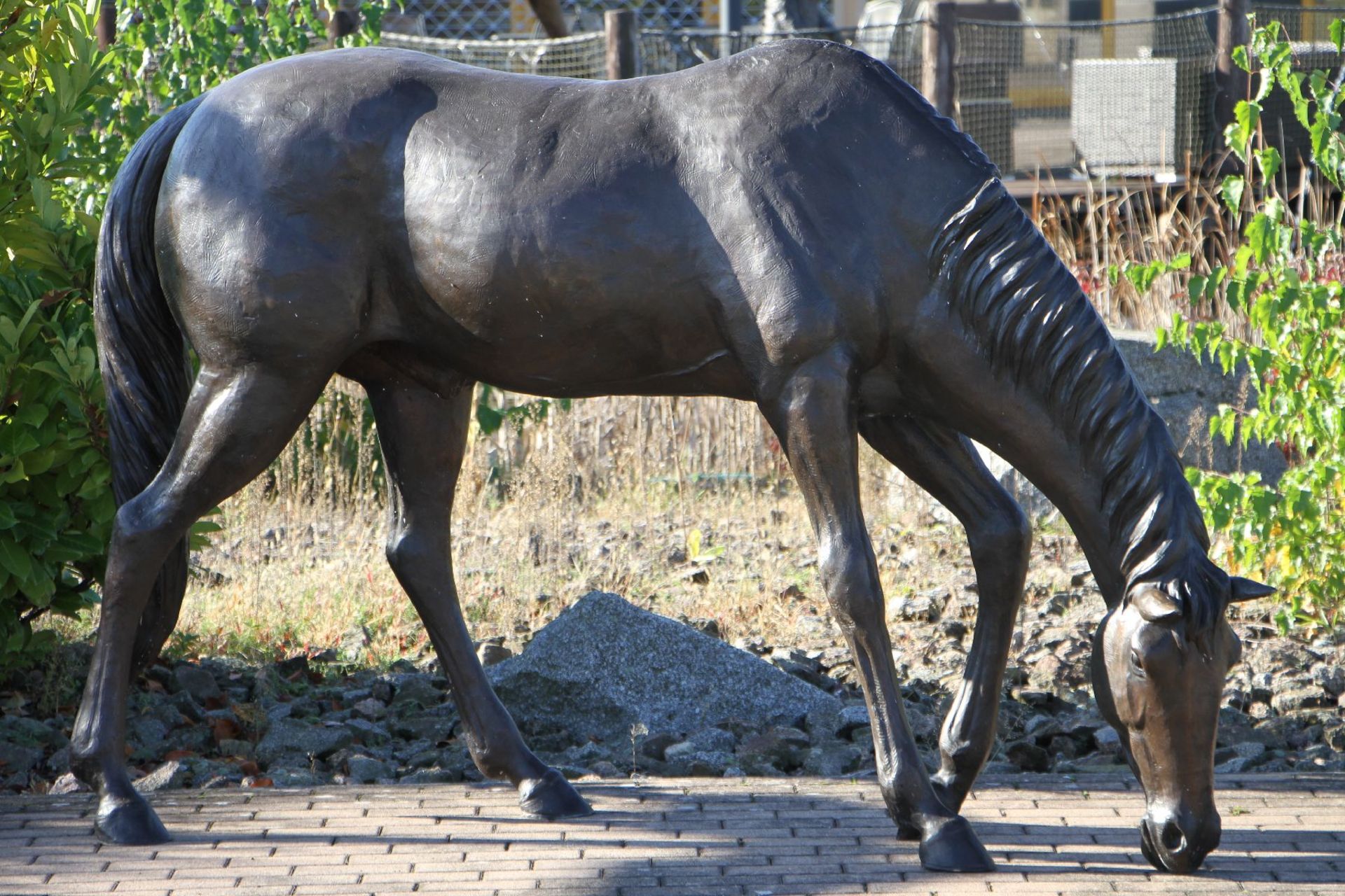 Grazing Stallion, bronze, brown, dark brown and blackish patinated, relaxed presentation, vivid