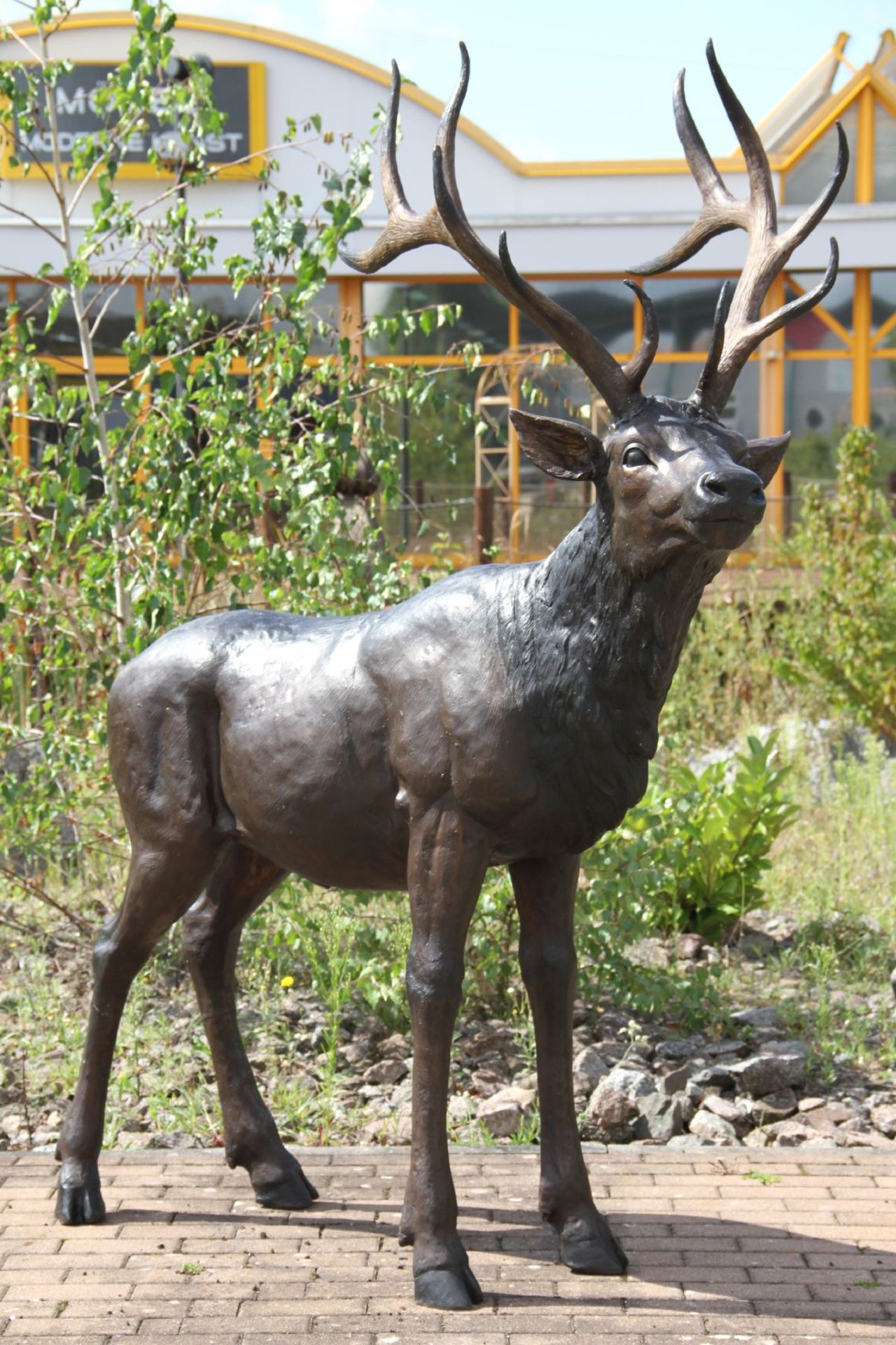 Deer, bronze, brown and dark brown patinated, so-called Twelve-sided, naturalistic- idealistic