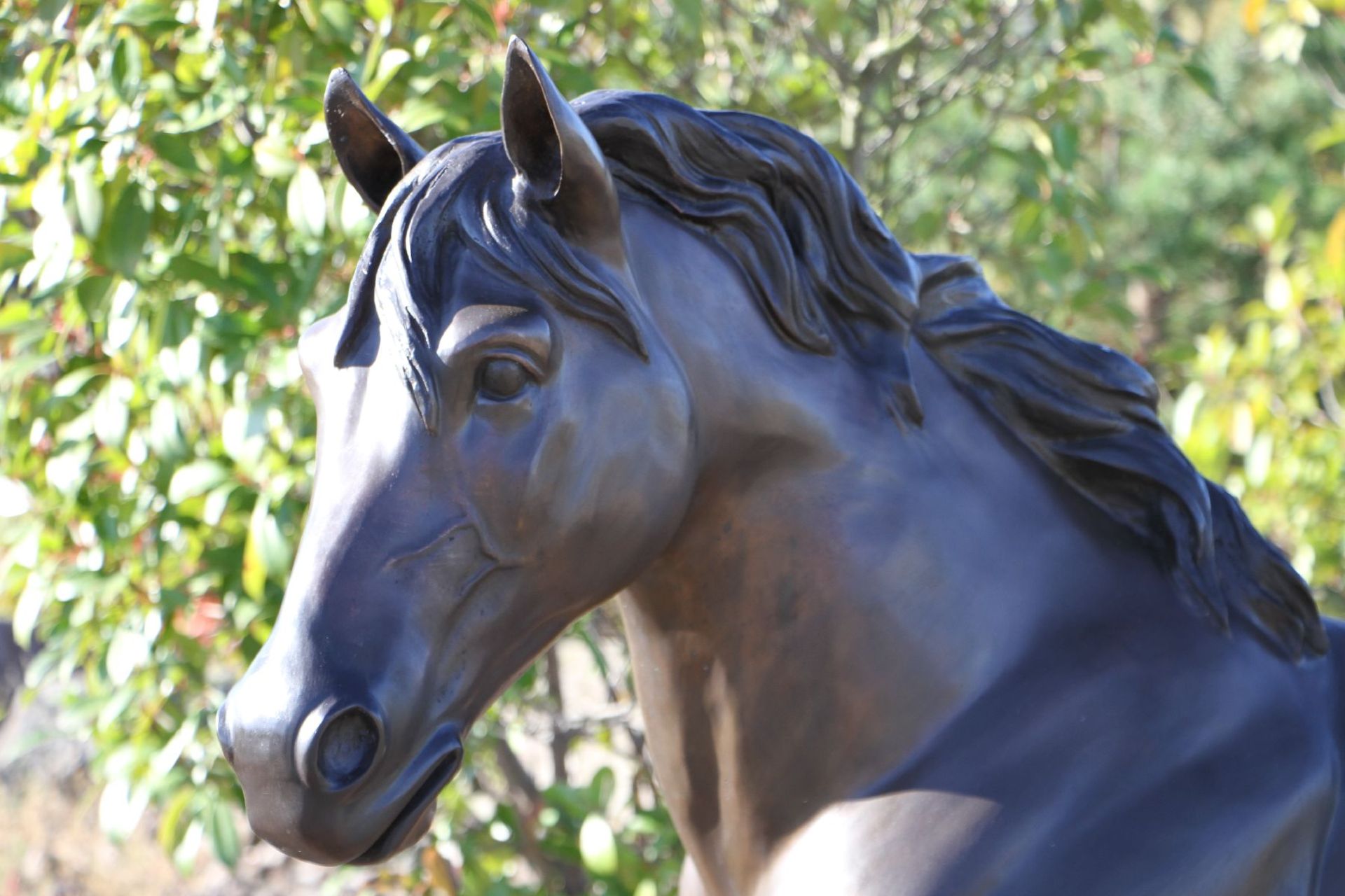 Stallion, bronze, brown and blackish patinated, in trotting representation, naturalistic, - Bild 3 aus 3