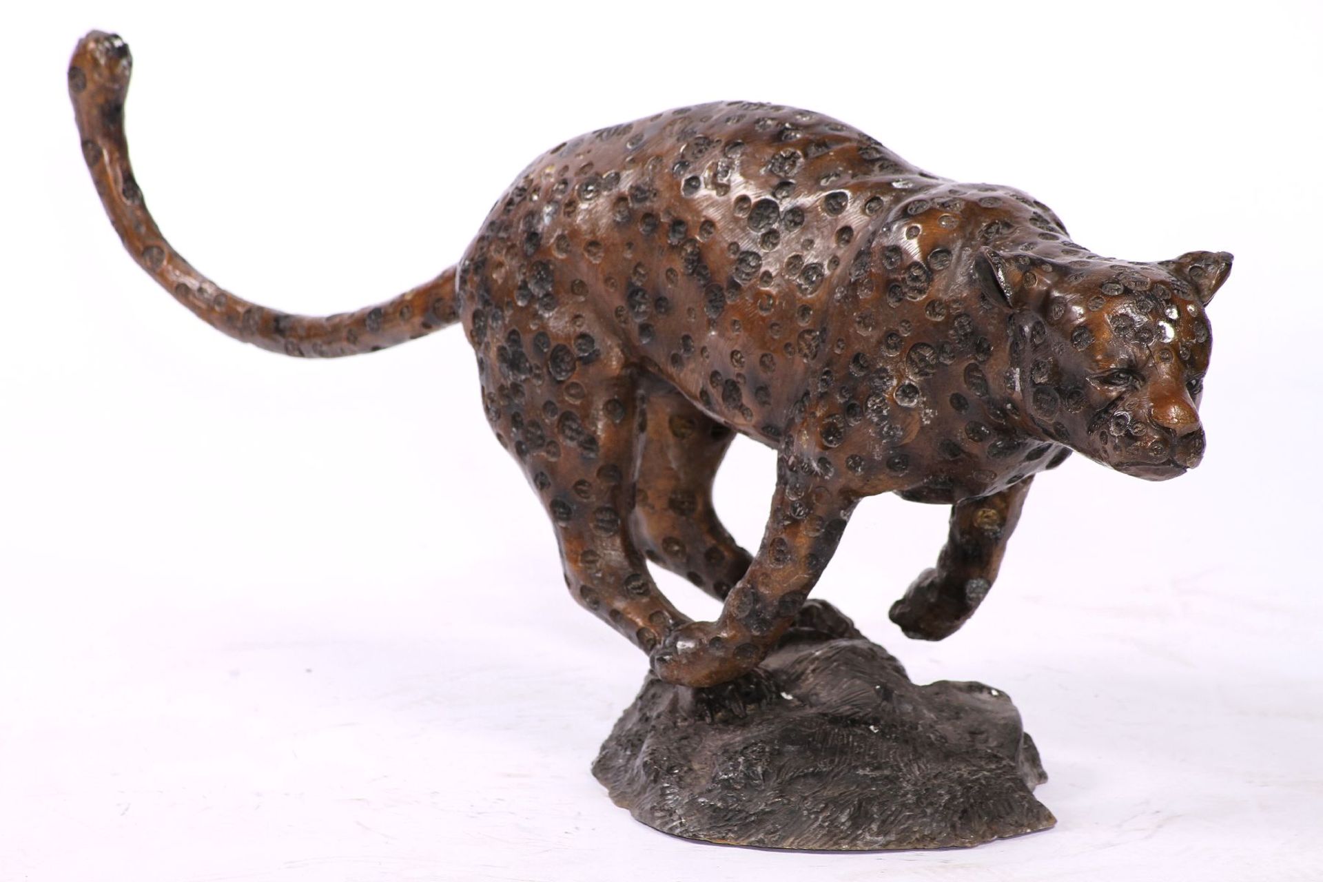 Wildcat, bronze, brown patinated and anthracite-colored spotted, with the prey at the start of the