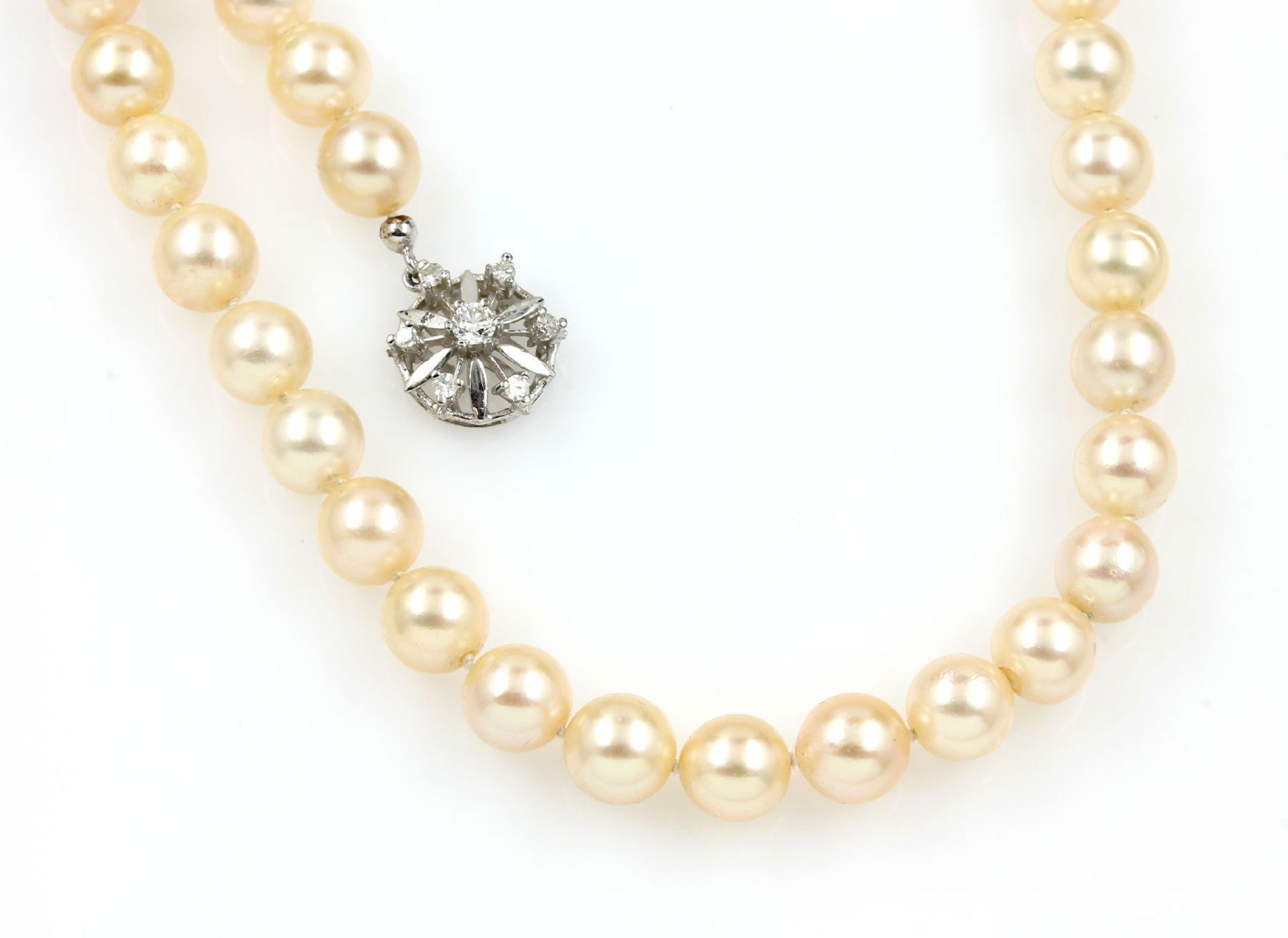 Necklace made of cultured akoya pearls , with WG 585/000 jewelry clasp with diamonds, gold yellow