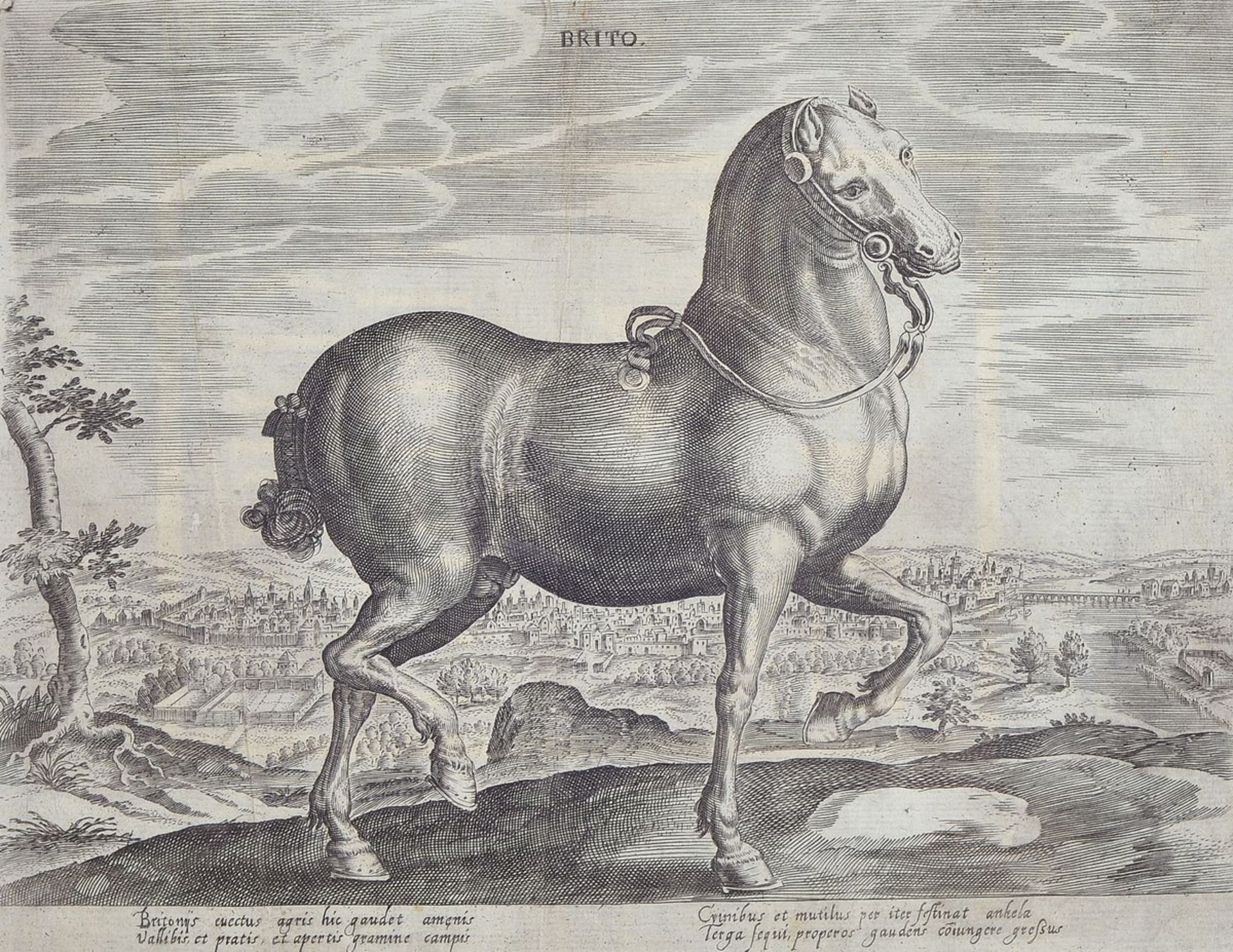 12 engravings after Johannes Stradanus, (Jan van the Straet 1523-1605), with different horse - Bild 3 aus 6