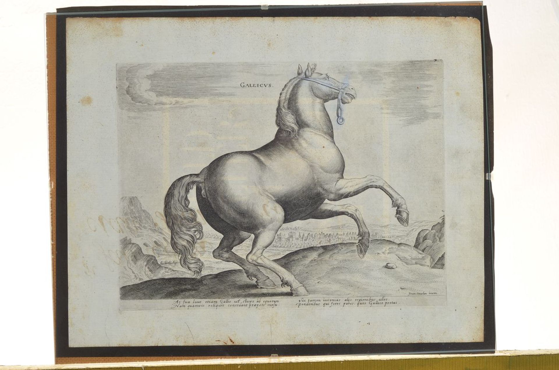 12 engravings after Johannes Stradanus, (Jan van the Straet 1523-1605), with different horse - Bild 4 aus 6