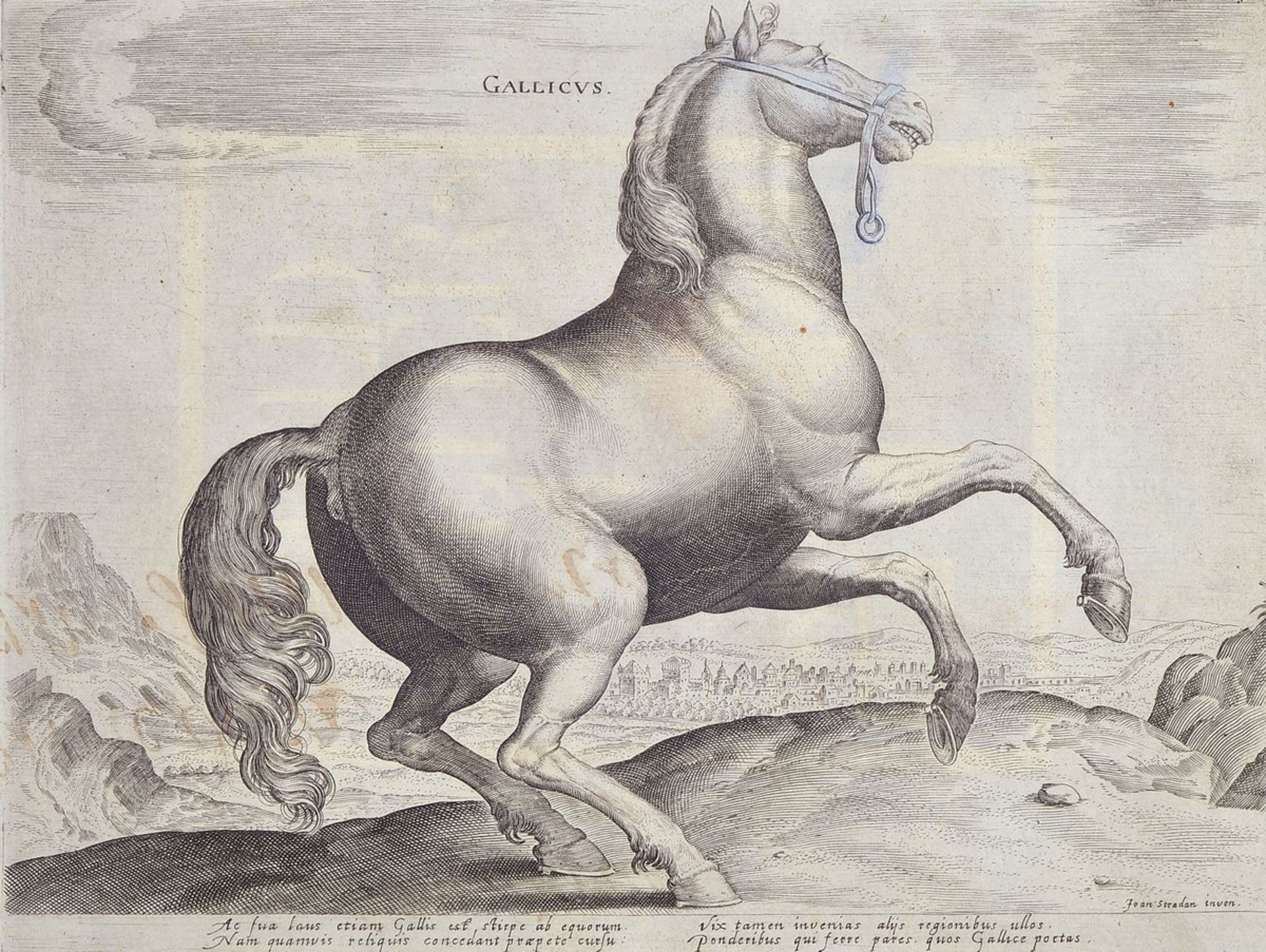 12 engravings after Johannes Stradanus, (Jan van the Straet 1523-1605), with different horse