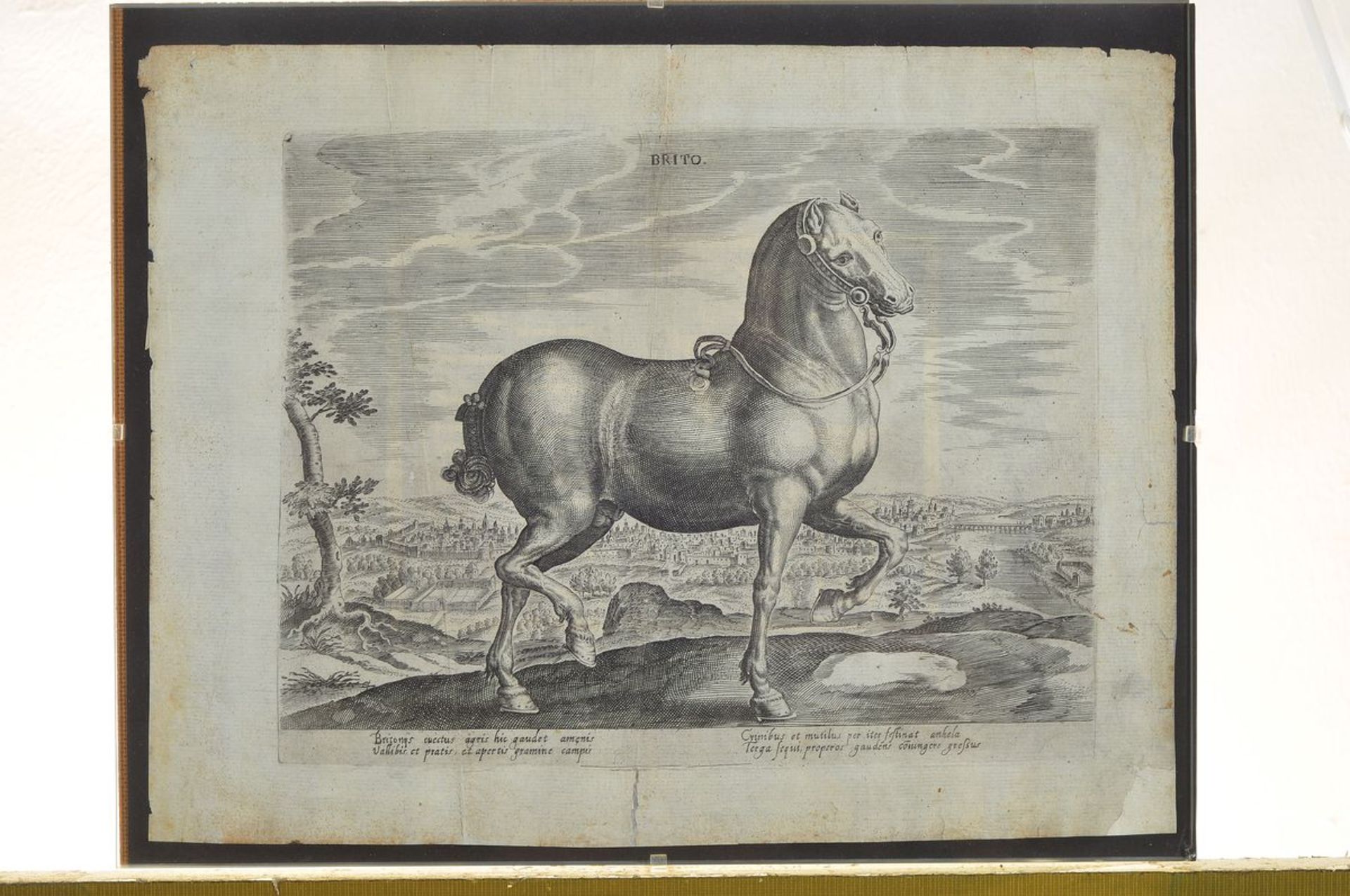 12 engravings after Johannes Stradanus, (Jan van the Straet 1523-1605), with different horse - Bild 6 aus 6