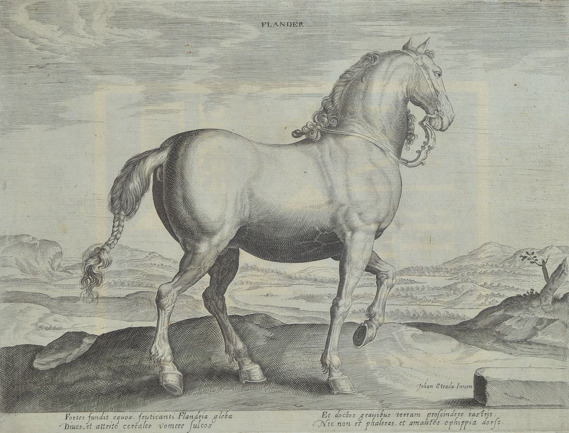 12 engravings after Johannes Stradanus, (Jan van the Straet 1523-1605), with different horse - Bild 2 aus 6