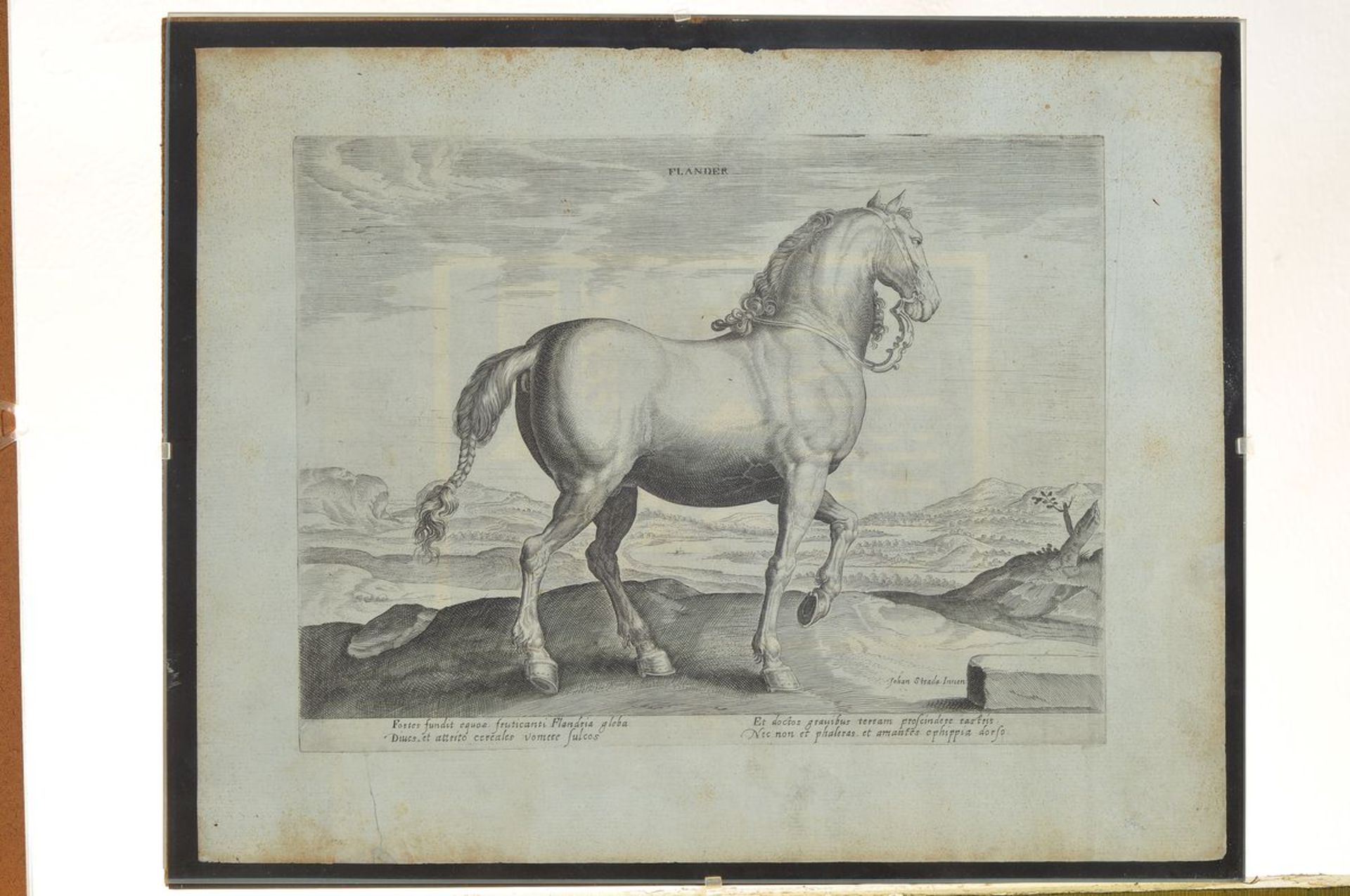 12 engravings after Johannes Stradanus, (Jan van the Straet 1523-1605), with different horse - Bild 5 aus 6