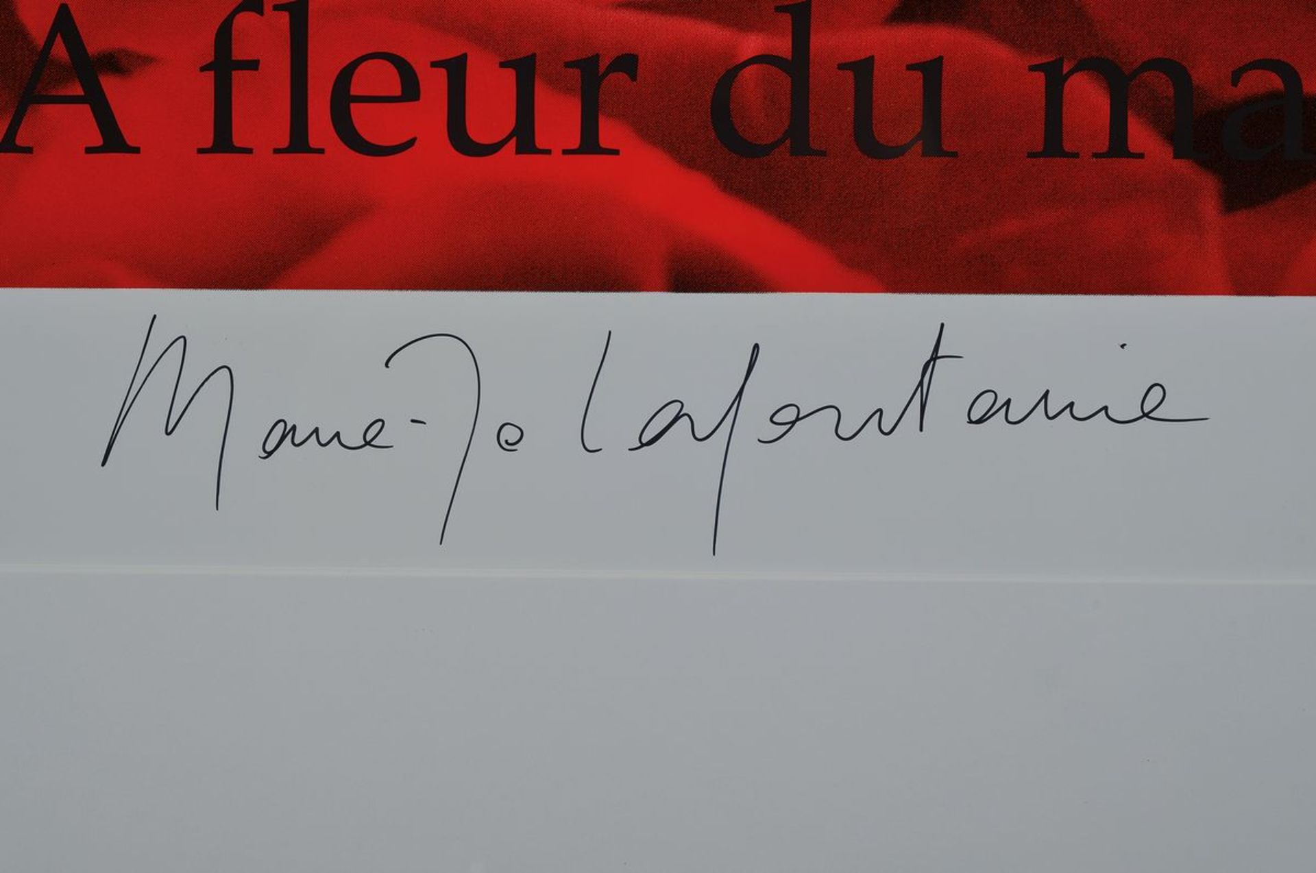 Marie-Jo Lafontaine, born 1950, color screen print on cardboard, # "A fleur du mal #" from 1999, - Bild 2 aus 6