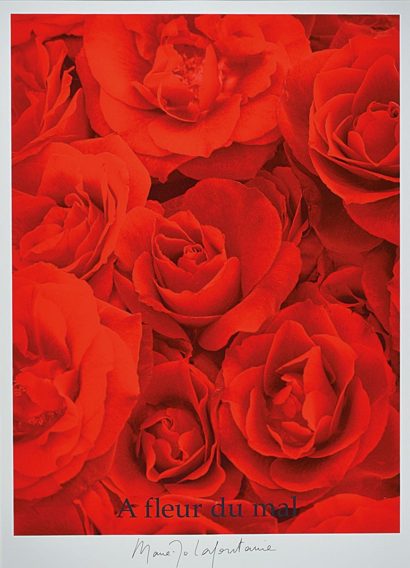 Marie-Jo Lafontaine, born 1950, color screen print on cardboard, # "A fleur du mal #" from 1999,